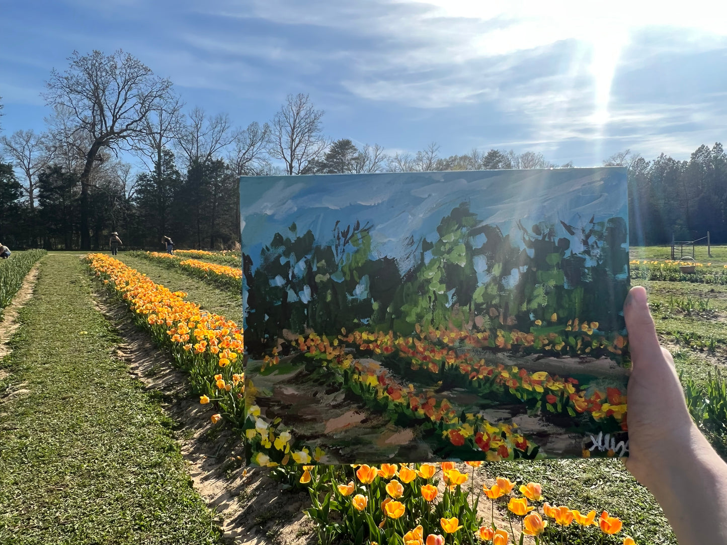 "Tulip Fields"