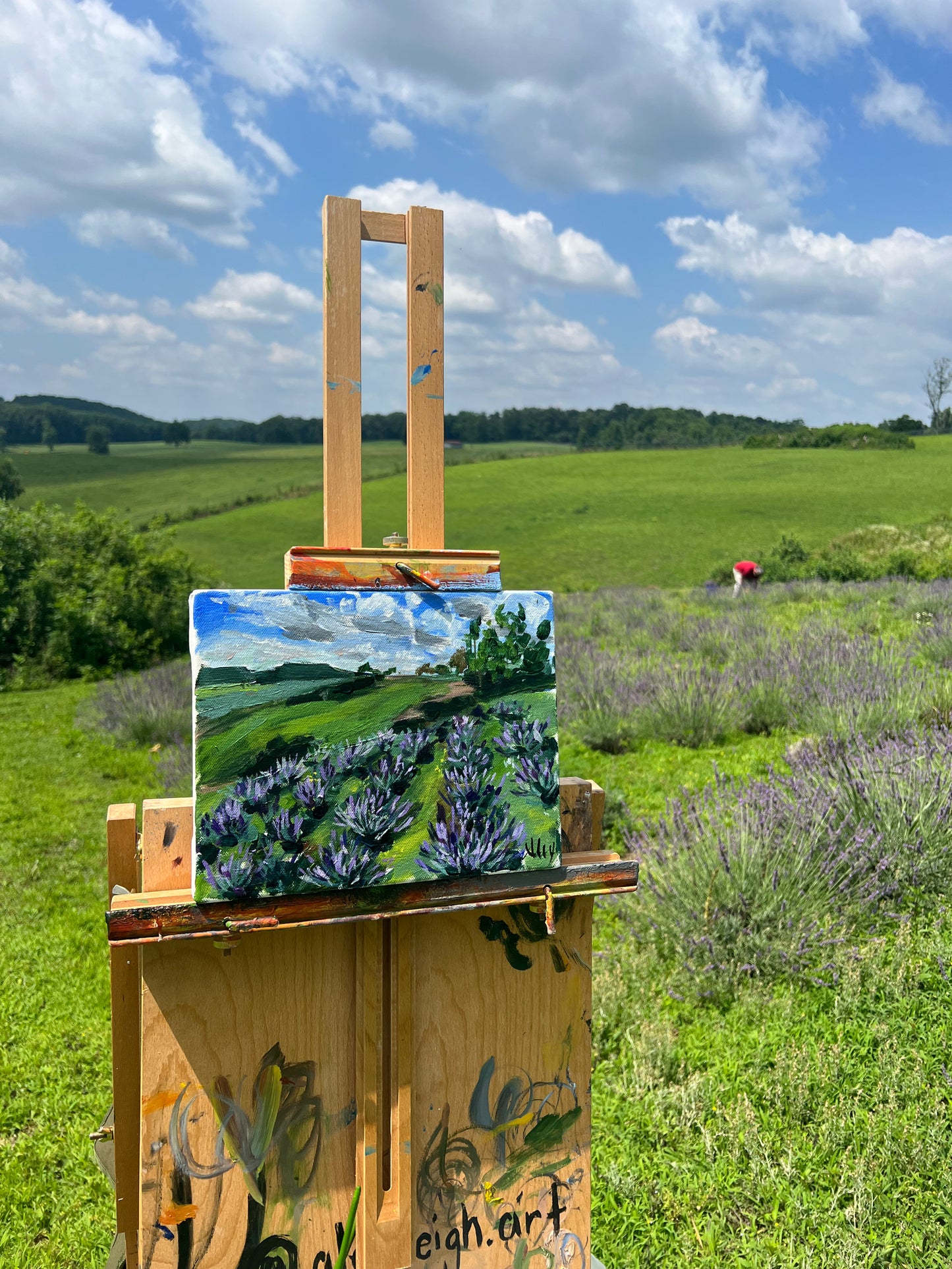 "Can you smell the lavender in the breeze?"