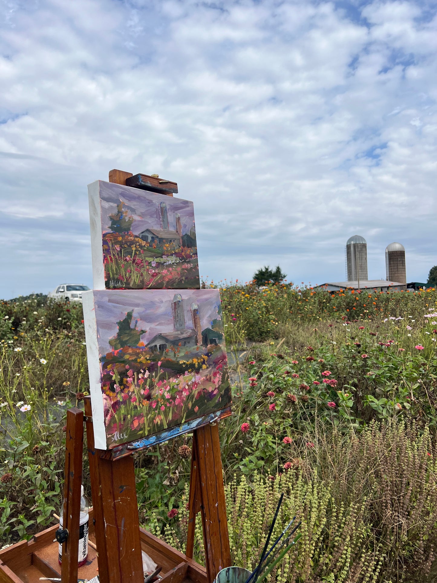 "Beyond the Blooms"