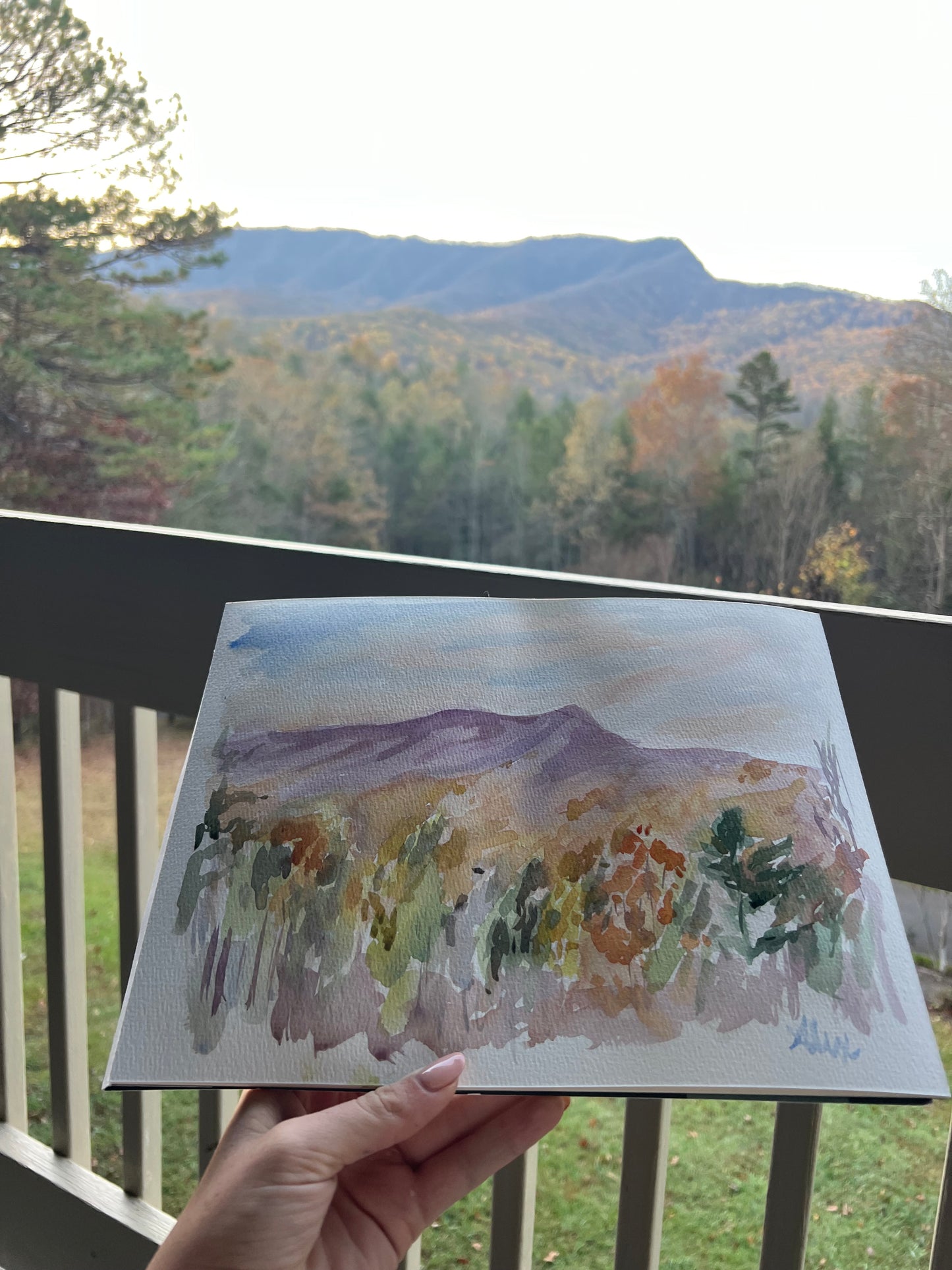 "Only the Birds and I are awake"