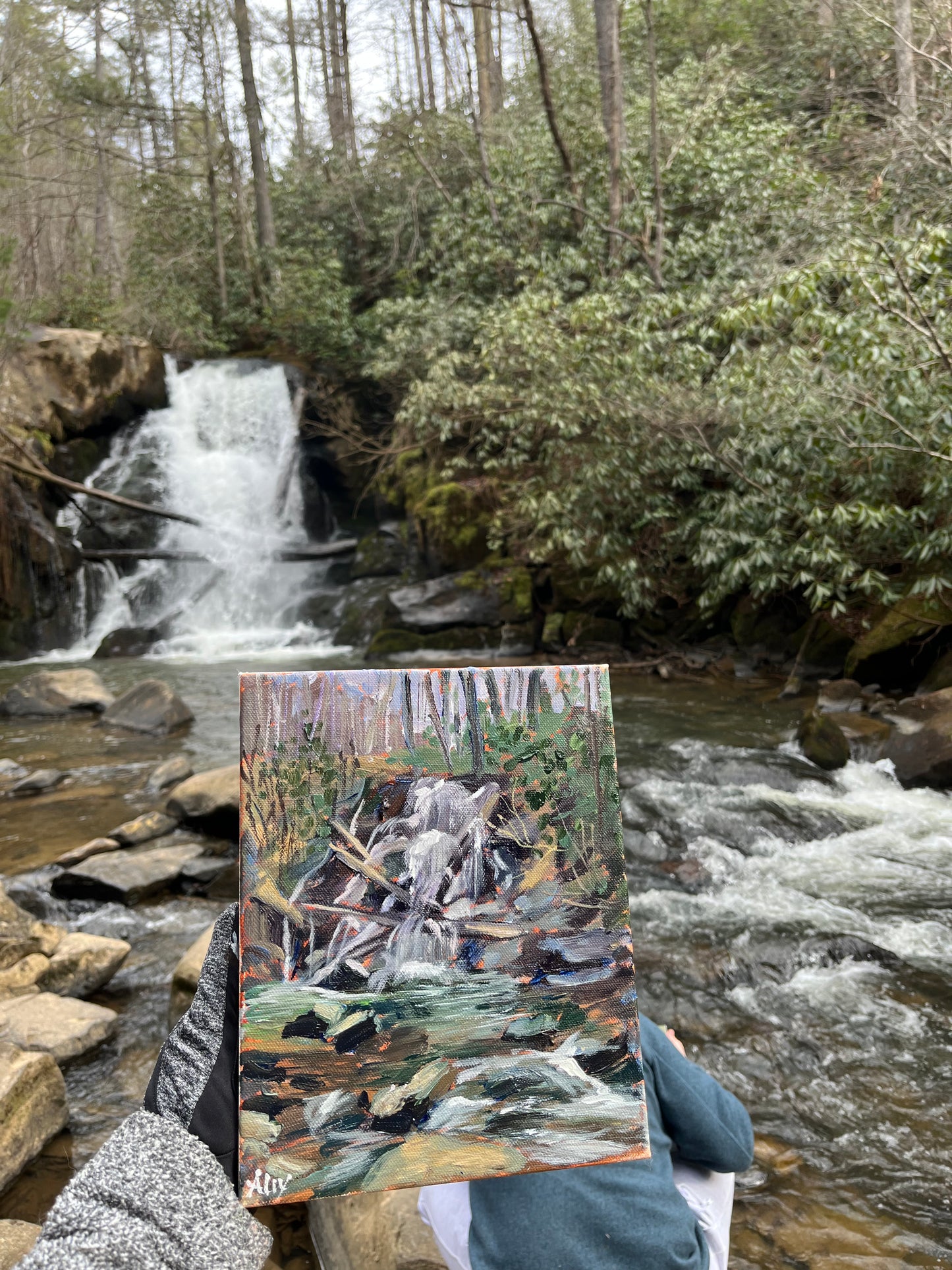 "Turtletown Falls"