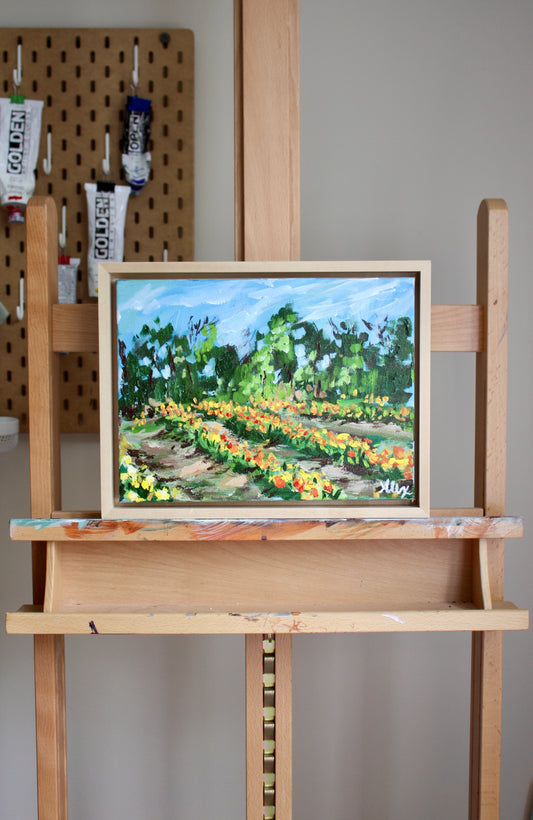 "Tulip Fields"