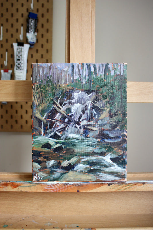 "Turtletown Falls"