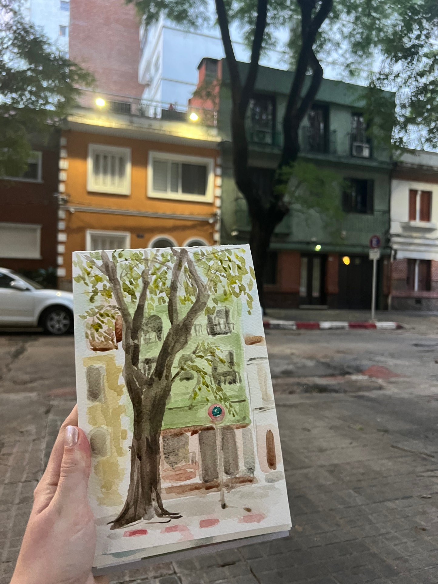 "No Parking"